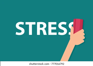 Reasons To Schedule a Stress Test for Your Heart