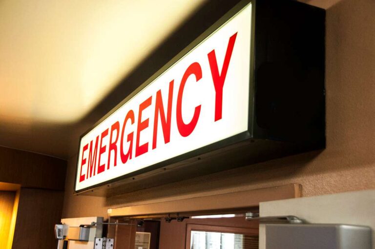 # Services Offered at an Emergency Clinic