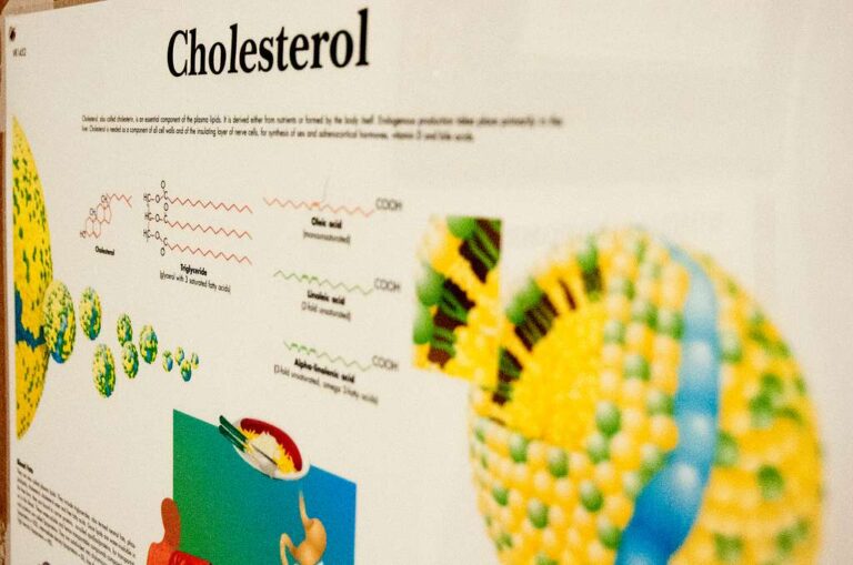 Why High Cholesterol Is More Than Just a Number and What It Means for Your Heart Health