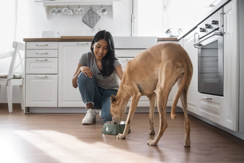 How Pet Ownership Can Positively Impact Life with Fibromyalgia